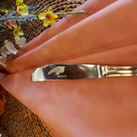 ESTIA GOURMET Cascade Floral SS Dinner Knife - NWT - Picture 6 of 8